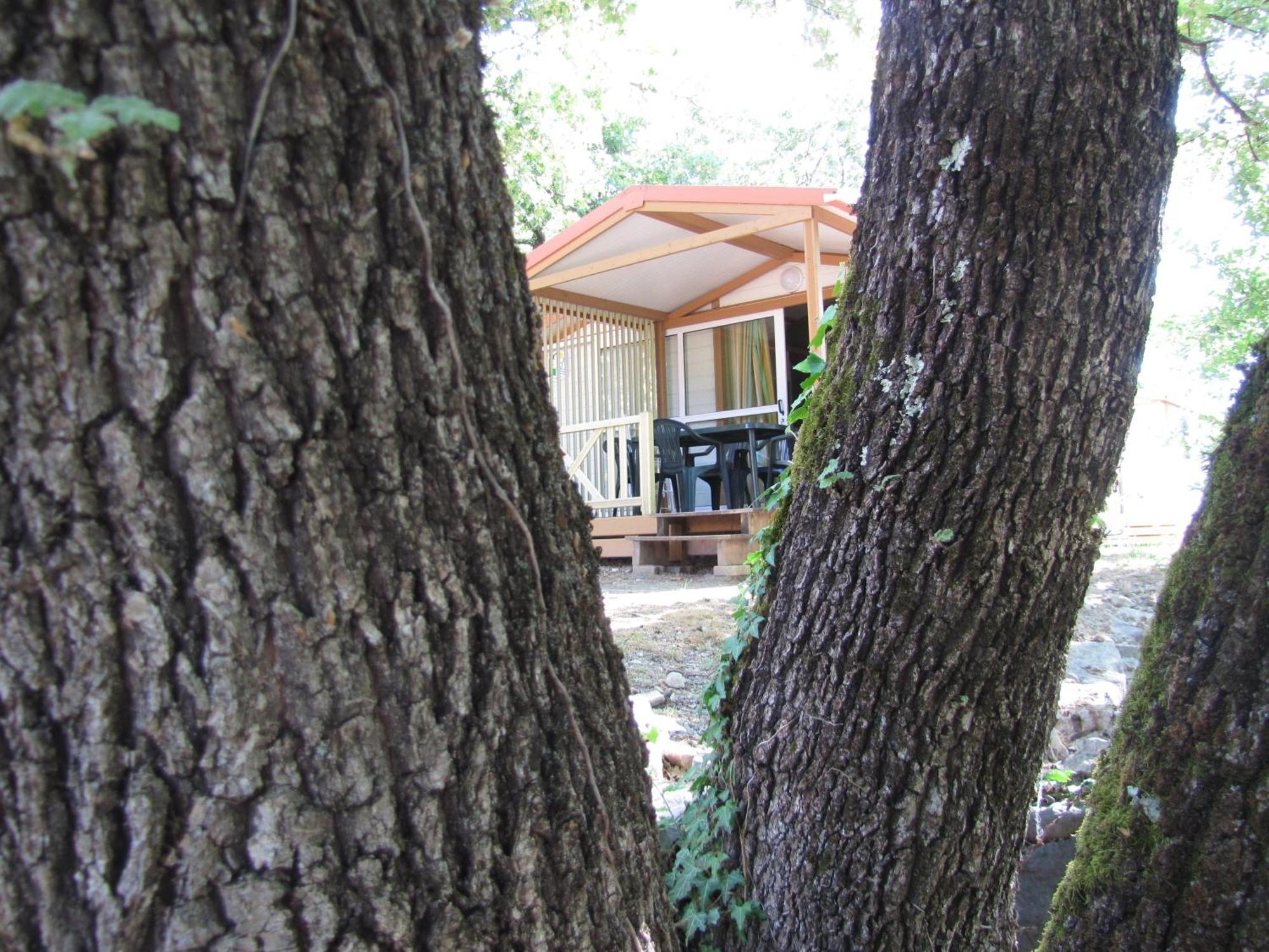 Camping Chalets Les Chenes Verts Vogue Room photo